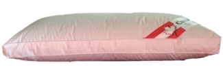 Canada Kopfstützkissen Nackenkissen Premium Daune Air-O-Cell 40x80 cm, Sanftheit der Daune Stützkraft der Viscoschaumstäbchen