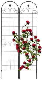 Rankgitter 2er Set 220 cm 10041670