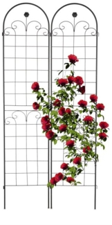 Rankgitter 2er Set 220 cm 10041670