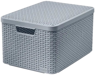 Curver Aufbewahrungskorb, Aufbewahrungsbox mit Deckel 44,5 x 33 x 24,8 cm