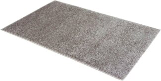 ASTRA Teppich Astra Samoa Hochflor Einfarbig grau pflegeleicht D001 C005, rechteckig, Höhe: 20 mm