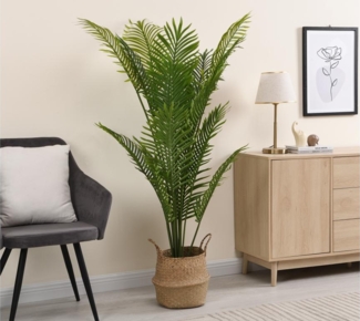 Vente-unique - Kunstpflanze Palme mit Topf - H. 160 cm - PALMITA