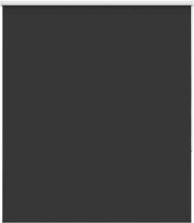 vidaXL Verdunkelungsrollo Schwarz 140x150 cm Stoffbreite 136,6 cm 4010876