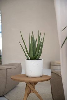 finestgreen Pflanzkübel Charlie, Fiberclay Pflanzkübel in Beton-Optik für Innen & Außen