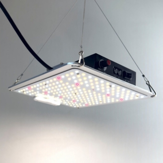 TEUTO Licht Pflanzenlampe Grow Lampe CANDY 420LED® dimmbar, 125W, 355 μmol/s, LED fest integriert