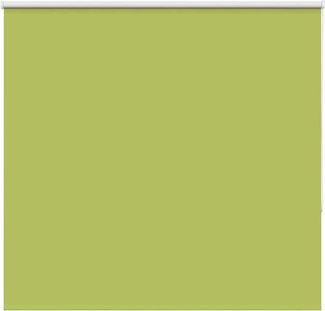 vidaXL Verdunkelungsrollo Grün 155x150cm Stoffbreite 151,6cm Polyester 4011269