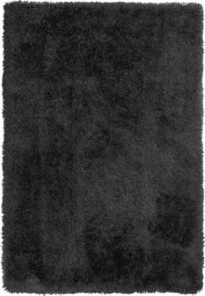 Teppich schwarz 160x230 cm Shaggy CIDE