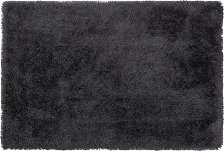 Teppich schwarz 160x230 cm Shaggy CIDE