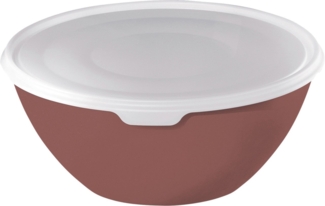 Rotho Schüssel mit Deckel Caruba, 3 L iron rot, Frischhaltedose Schale