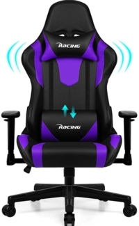 Homimaster Gaming Stuhl Ergonomisch Verstellbar mit Lendenkissen Kopfkissen