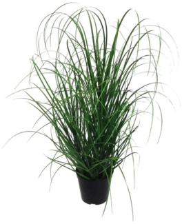 Kunstgras Dekogras Grasbusch im schwarzem Kunststofftopf, Creativ green, Höhe 50 cm
