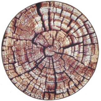 Gino Falcone Teppich Aurora GF-095, rund, Höhe: 5 mm, Holz Optik, ideal im Wohnzimmer & Schlafzimmer