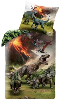 MTOnlinehandel Bettwäsche Jurassic World 135x200 + 80x80 cm, 100 % Baumwolle, Renforcé, 2 teilig, Dino / Dinosaurier Kinder- und Teenagerbettwäsche