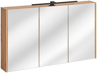 Badezimmer Spiegelschrank 120x72cm PANTIN Grau inkl. LED