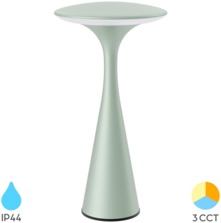 LED Tischlampe Touch Dimmbar mit Akku Tischleuchte Innen/Aussen Farbwahl CCT USB grün