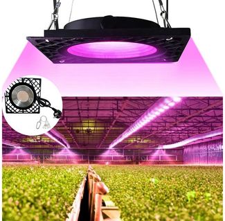 Jibenhome Pflanzenlampe LED Grow Lampe, 50W SMD2835 Vollspektrum Pflanzenlicht, Gemüse Blume, Pflanzenleuchte IP66 Wachstumslampe, mit Daisy Chain Euro Stecker