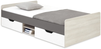 Deine Möbel 24 Kinderbett REMI 16 Jugendbett Einzelbett Bett 120x200 cm (Set, 4-tlg, mit Schubladen Lattenrost), REMI Kollektion Kinderzimmer Jugendzimmer Weiß Holz Anthrazit