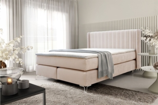 Boxspringbett Schlafzimmerbett AGNUS 200x200 cm in Stoff Salvador Creme