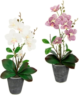 Kunstpflanze Orchidee, I.GE.A, Höhe 40 cm, Mit Blättern und Luftwurzeln, im Topf aus Keramik, 2er Set