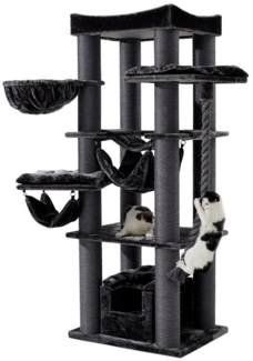 Nobby Kratzbaum Rubi