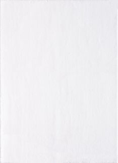 Waschbarer Teppich Camilla rechteckig - 200x300 cm - Creme