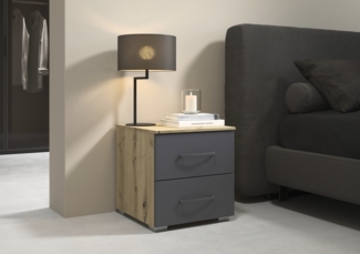 rauch Aditio Box, Nachttisch, 2 Schubladen, mit Softclose-Funktion, Farbe Grau metallic/Eiche Artisan, BxHxT 40x42x42cm