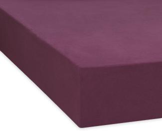 Traumschlaf Feinbiber Boxspring Spannbetttuch|160x200 cm| beere