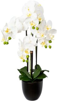 Kunstorchidee Phalaenopsis im Resintopf Orchidee Phalaenopsis, Creativ green, Höhe 69 cm, mit Real-Touch-Blüten