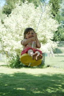 Conacord Tellerschaukel Ø 28 cm