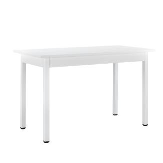 Esstisch Honningsvåg 120x60 cm Weiß 4 Stühle Grau en. casa