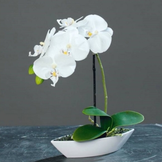 Kunstorchidee Topfpflanze, DPI, Höhe 28 cm, Farbe: Weiß, Motiv: Orchidee