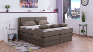 Meisterbetten Boxspringbett Dora 200x200 in W-Brown, Matratzenbezug Nano, Komfortschaum-Topper