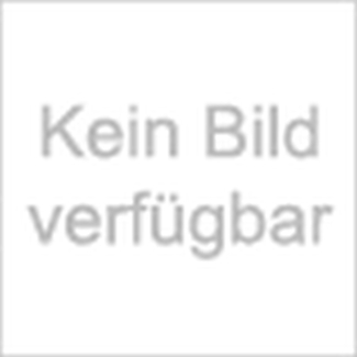 DIGITUS Serverschrank 19-; 26HE; Schw; perf. Tür 1260 x 600 x 1000