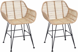 vidaXL Esszimmerstuhl 2 pcs Natur 55 x 50 x 74 cm Rattan und Eisen 42011556