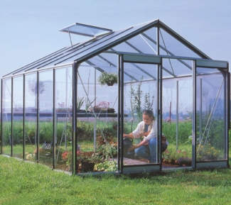 ACD Glas Gewächshaus R305H-B RAL | 371x306x259 cm