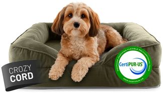 Lumaland Hundebett Indoor Cord S 70 x 60 x 18 cm olivgrün vakuumiert