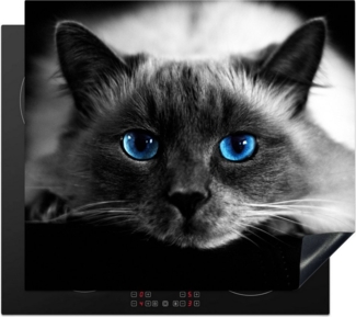 MuchoWow Herd-Abdeckplatte Katze - Augen - Grau - Blau, Vinyl, (1 tlg), Küche Herdabdeckung Ceranfeld Induktionsfeld Vinyl, 60x60 cm