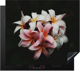 MuchoWow Herd-Abdeckplatte Blumen - Rosa - Schwarz - Flora - Botanisch, Vinyl, (1 tlg), Küche Herdabdeckplatte Ceranfeld Vinyl Einteilig, 59x52 cm