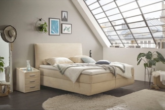 Boxspringbett AGUASCALIENTES 6