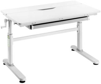 HOKO Kinderschreibtisch Ergo Jugend Schreibtisch höhenverstellbar 54-76 cm, 100x60 cm (ergonomischer Computertisch mit neigbarer Tischplatte (0-50) & Schublade, stabil & belastbar bis 100 kg, Weiß, Holzfarben)