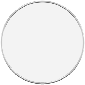 vidaXL Wandspiegel Silbern Ø 30 cm Rund 348174