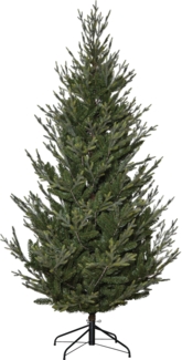 Star Weihnachtsbaum 'Uppsala', mit Metallfuß,