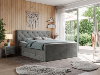 Boxspringbett KING VELEN, Doppelbett mit Multipocket-Matratze, Polsterbett mit Kopfstütze - 120x200 - Dunkelgrau Velours - H4