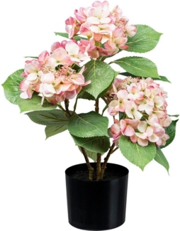 Kunstpflanze Hortensienbusch Hortensie, Creativ green, Höhe 53 cm, mit traumhaft schönen Blüten