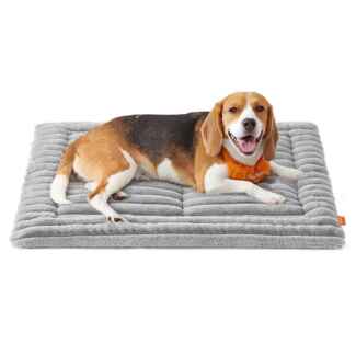 Feandrea Hundedecke, L, 90 x 65 cm, Haustierdecke für Hunde, Katzen, Hundesofa maschinenwaschbar, Hundesofa-Schutzdecke, taubengrau