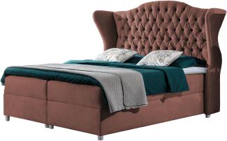 Boxspringbett Caltha, Rosa