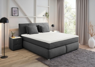 Jockenhöfer Gruppe Boxspringbett "Carla", OTTOs Choice! Topseller, wahlweise mit oder ohne Bettkasten, inkl. 4 Kissen, erhältlich in den Breiten 160 & 180cm