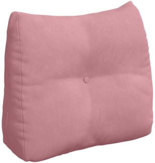 vidaXL Rückenkissen Rosa 60 x 24 x 50 cm Samt 42014404
