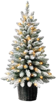Evergreen Belmont | mini Weihnachtsbaum mit