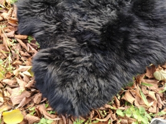 Provellus Fellteppich Echte Öko Schaffelle Lammfell Schwarz Bis 140 cm 2. Wahl, 30x30 cm rund